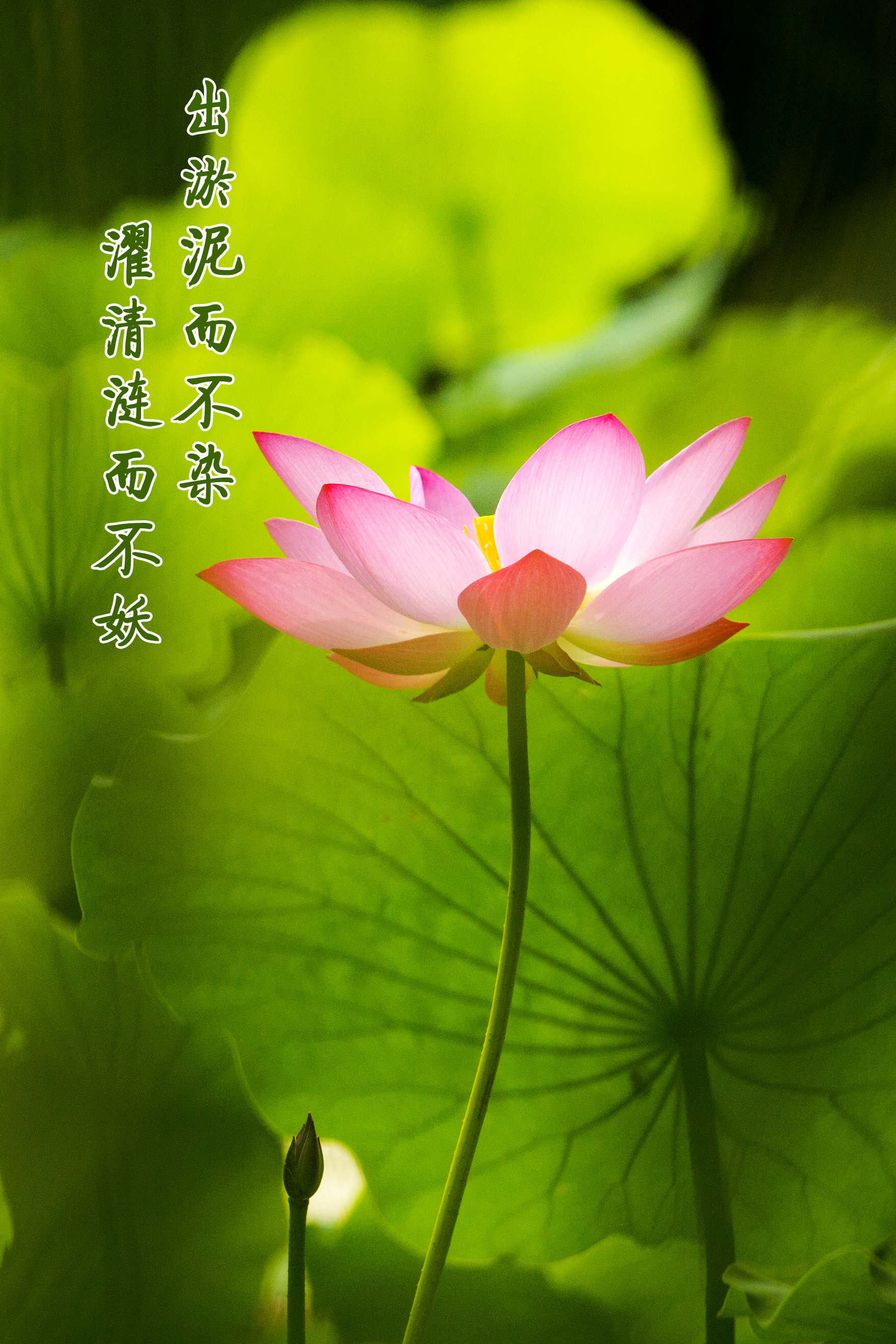 bevictor伟德-伟德bv国际体育官方网站