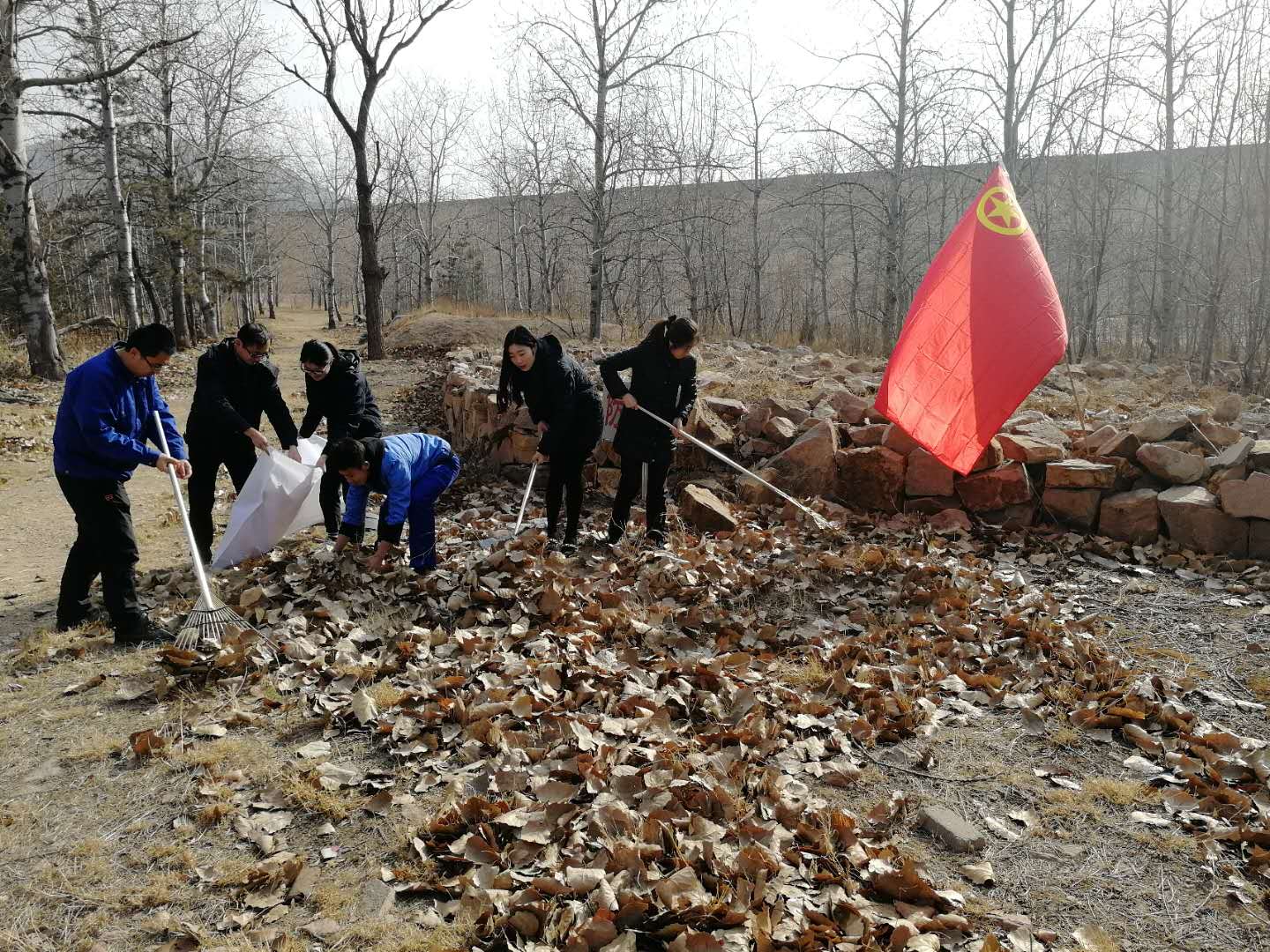 bevictor伟德-伟德bv国际体育官方网站