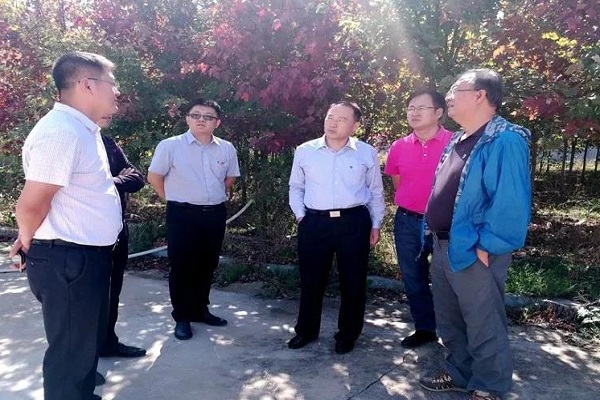 bevictor伟德-伟德bv国际体育官方网站