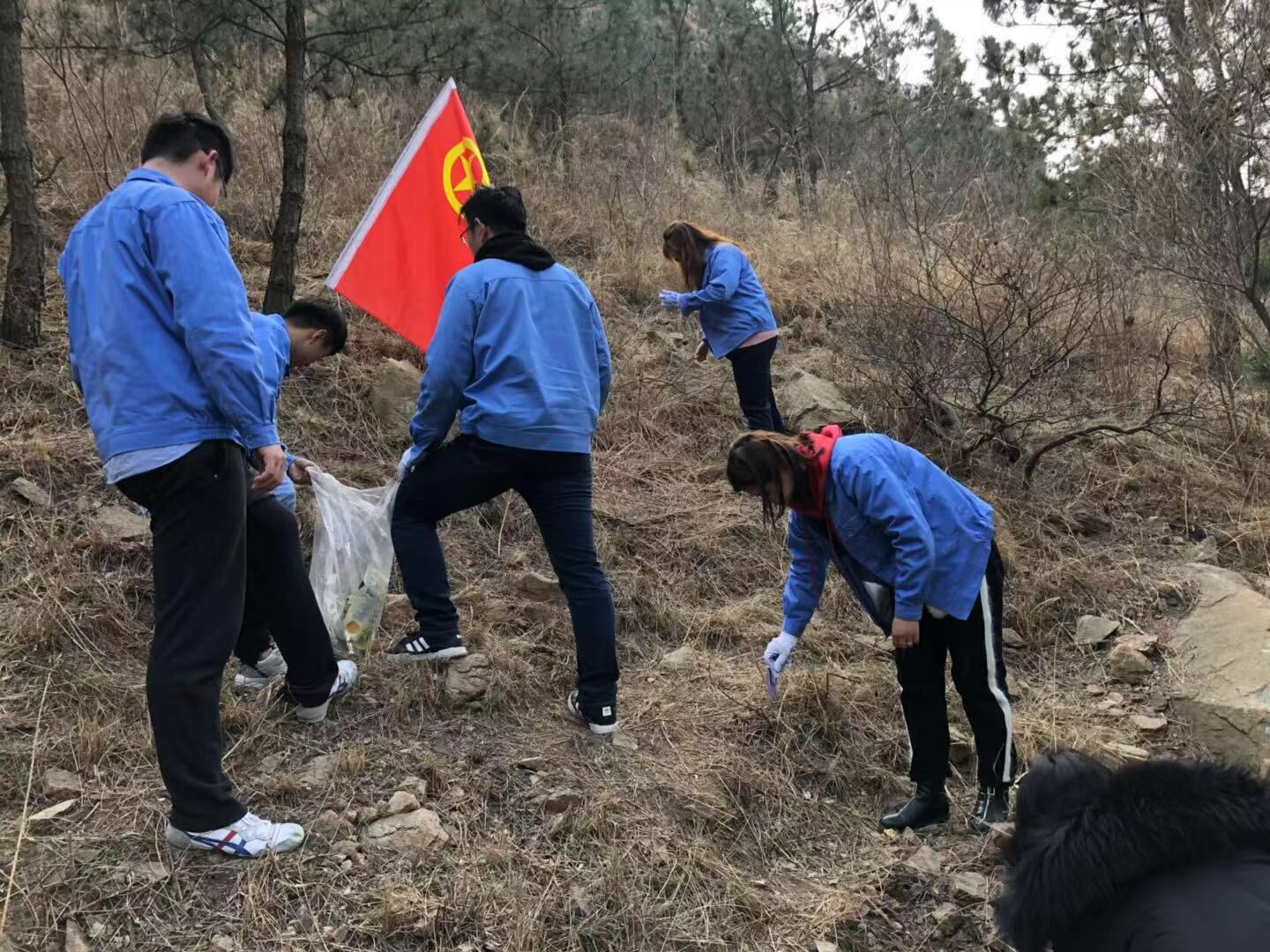 bevictor伟德-伟德bv国际体育官方网站