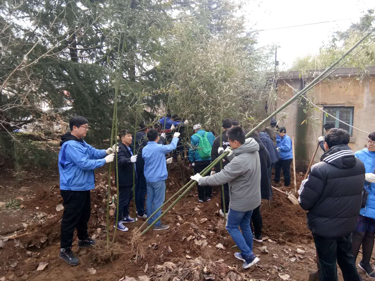 bevictor伟德-伟德bv国际体育官方网站