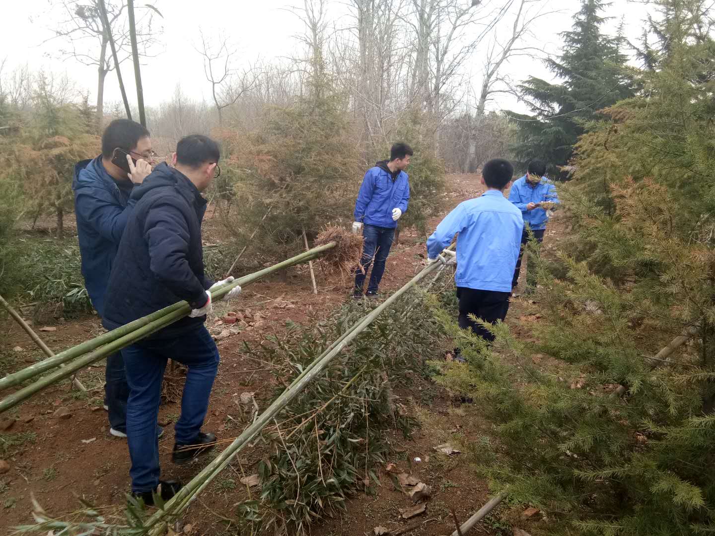 bevictor伟德-伟德bv国际体育官方网站