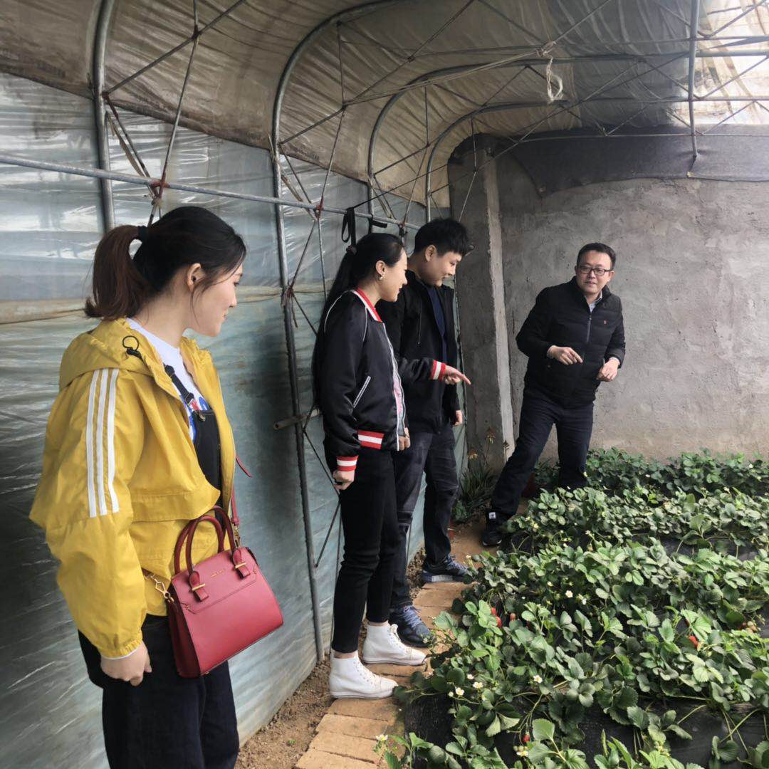 bevictor伟德-伟德bv国际体育官方网站