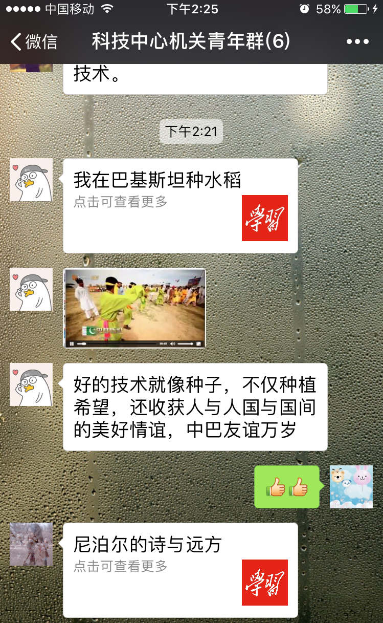 bevictor伟德-伟德bv国际体育官方网站