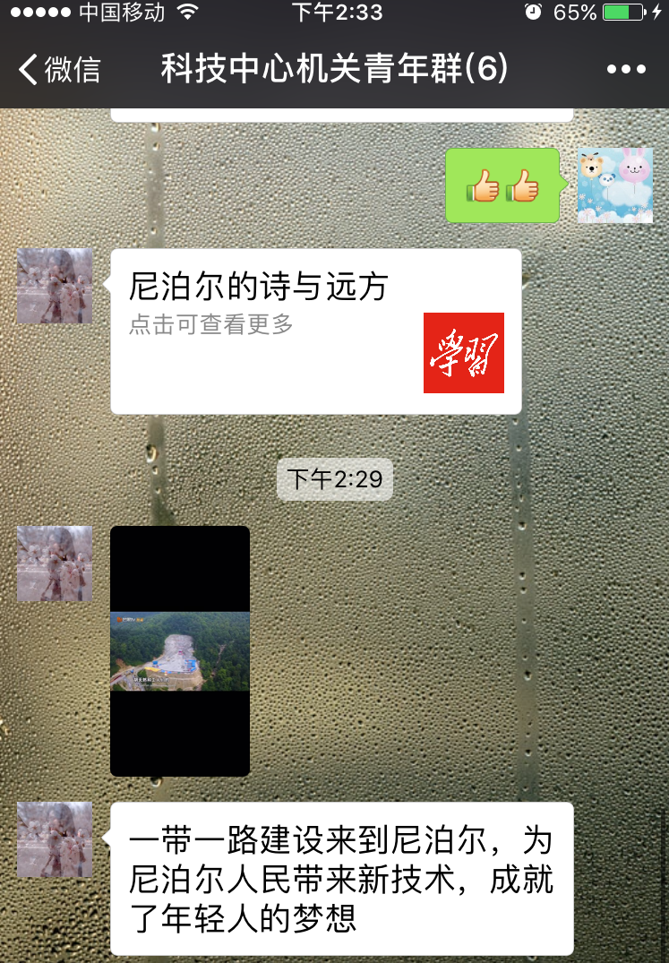 bevictor伟德-伟德bv国际体育官方网站